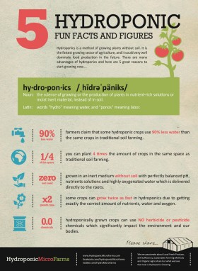 Hydroponic Gardening Benefits