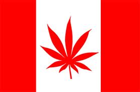 Poll: Two-Thirds Of Canadians Say Decriminalize Marijuana