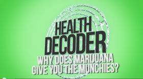 Video: Why Does Marijuana Give You the Munchies?