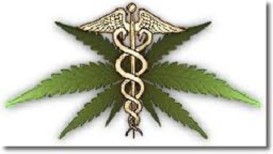 Medical Marijuana Advocates Decry Los Angeles Dispensary Ban Vote, Announce Referendum Campaign