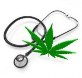 Medical Marijuana Update (2012.08.01)