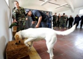 Source: http://stopthedrugwar.org/chronicle/2012/jun/29/nevada_drug_dog_troopers_allege