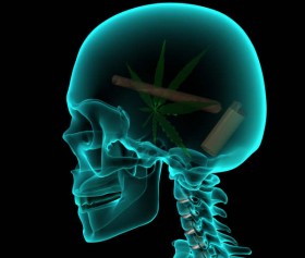 Brain Imaging Study Evaluates Effects of Ingredients in Marijuana On Brain Functioning