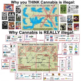 Why You Think Cannabis is Illegal, Why Cannabis is Really Illegal