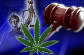 Federal Judges Dismiss Every Lawsuit Filed by California Medical Marijuana Dispensaries Seeking Protection