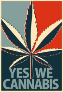 Source: http://www.allposters.com/-sp/Yes-We-Cannabis-Marijuana-Poster-Posters_i8850932_.htm