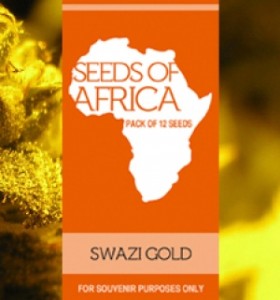 Cannabis Swazi Gold: http://www.eagleseeds.net/en/Seeds-of-Africa/Swazi-Gold.html
