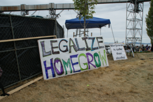 Seattle HempFest | source: Arthion Weedist