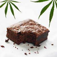 Seattle Hempfest: Should You Trust the Edibles?