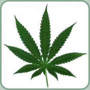 NC Bill Introduced to Reduce Marijuana Possession Penalties - Weedist