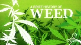 A Brief History of Weed According to Weeds (Showtime)