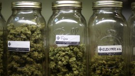 Officials Seize Less California Marijuana, But See More