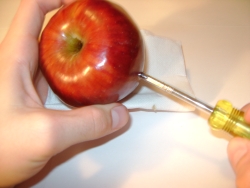 Piece of the Week | How to Make an Apple Marijuana Pipe