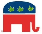 Top Eight Reasons Conservatives Should Love Medical Marijuana