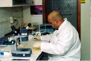 crime lab - Forensic-Lab-Technologist, Source: http://stopthedrugwar.org/chronicle/2012/sep/14/mass_crime_lab_scandal_threatens