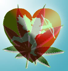 pot and dating; Source: http://www.google.com/imgres?hl=en&biw=1192&bih=568&tbm=isch&tbnid=nIDbPA_SjljHNM:&imgrefurl=http://www.e-stoned.com/rec/102-Cannabis-in-Israel&docid=X9EOsnjIIZIJOM&imgurl=http://www.e-stoned.com/files/images/59.jpg&w=225&h=237&ei=r8eWUOWkK8fIyAGhzYGADA&zoom=1&iact=hc&vpx=401&vpy=172&dur=1033&hovh=189&hovw=180&tx=140&ty=150&sig=106558560075969184126&page=4&tbnh=189&tbnw=178&start=32&ndsp=14&ved=1t:429,r:17,s:20,i:184