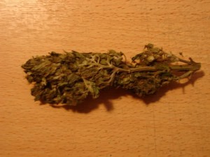 Marijuana Heirarchy, Source: http://i32.tinypic.com/2gwaq03.jpg