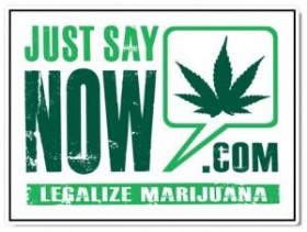 Just Say Now and the Amendment 64 Campaign Need Your Help Contacting Voters in Colorado