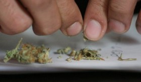 Marijuana Ordinance Adopted by Kalamazoo City Commission