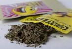 Synthetic Marijuana Plagues Southwest Florida