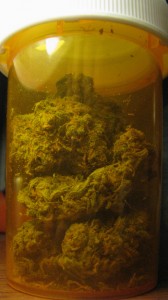 hybrid medication; source: http://www.weed-forums.com/showthread.php%3F11865-Cali-Blue-Alaskan-Hybrid-Strain-Review