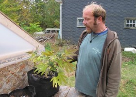 Maine Police Return 17 Stolen Marijuana Plants to Caregiver