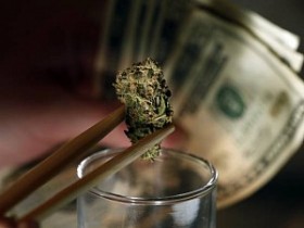 DEA Responds to Marijuana Legalization in Colorado and Washington