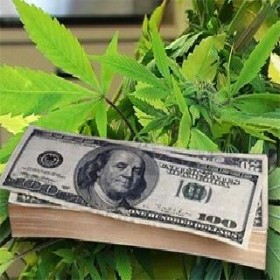 CNN Money Describes the Secrecy of Legal Marijuana Banking