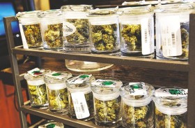 New Medical Marijuana Initiatives Haven’t Convinced Insurers