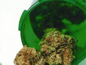 Medical Marijuana Wins in Massachusetts