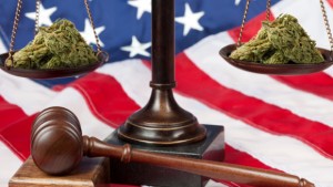 Bipartisan | source: http://www.cannabisnowmagazine.com/politics/respect-states-and-citizens-rights-act-colorado-reps-introduce-legislation-that-exempts-states-from-federal-marijuana-law