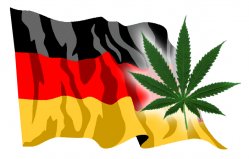 German Court Allows Patients to Grow Own Pot