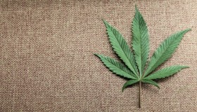 Marijuana Laws Enforced, Poor Hit Hardest