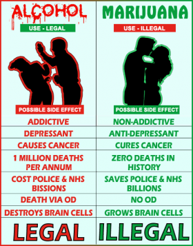 Medical Marijuana vs. Alcohol, Source: http://www.herbalmission.org/medical-marijuana/wp-content/uploads/2012/07/Medical-Marijuana-vs.-Alcohol.png