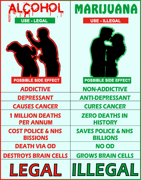 compare and contrast essay on marijuana and alcohol compare and contrast essay on marijuana and alcohol
