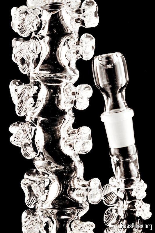 Piece of the Week | Spine Pipes and Bongs