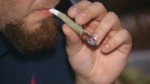 Push to Decriminalize Marijuana to Launch in Georgia