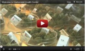 Harborside and the Feds’ Failed Medical Marijuana Communications