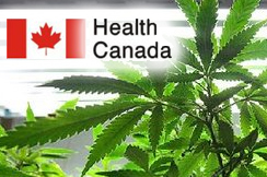 Price of Medical Marijuana in Canada to Hit New High With Introduction of New Sales System