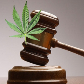 California Supreme Court May Have Final Word on Medical Marijuana Bans