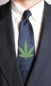 Decision On WA State Marijuana Consultant Taking Time
