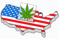 Several States Considering Legislation To Legalize Adult Cannabis Consumption