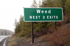Marijuana Legalization Bill Introduced in New Hampshire Source http://norml.org/images/blog/weed_sign.jpg