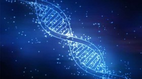 High Scientist: Storing Data in DNA