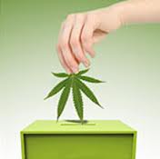 Michigan: Municipalities Ignoring Voters’ Will Regarding Marijuana Liberalization Measures