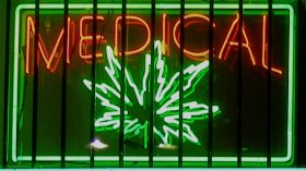 San Diego Medical Marijuana Mogul Gets Eight Years