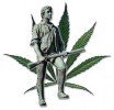 Massachusetts to Seek Public Input on Medical Marijuana