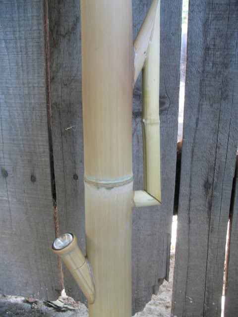 Homemade Bamboo Bong