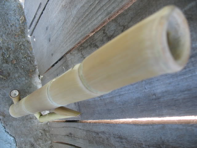 Homemade Bamboo Bong