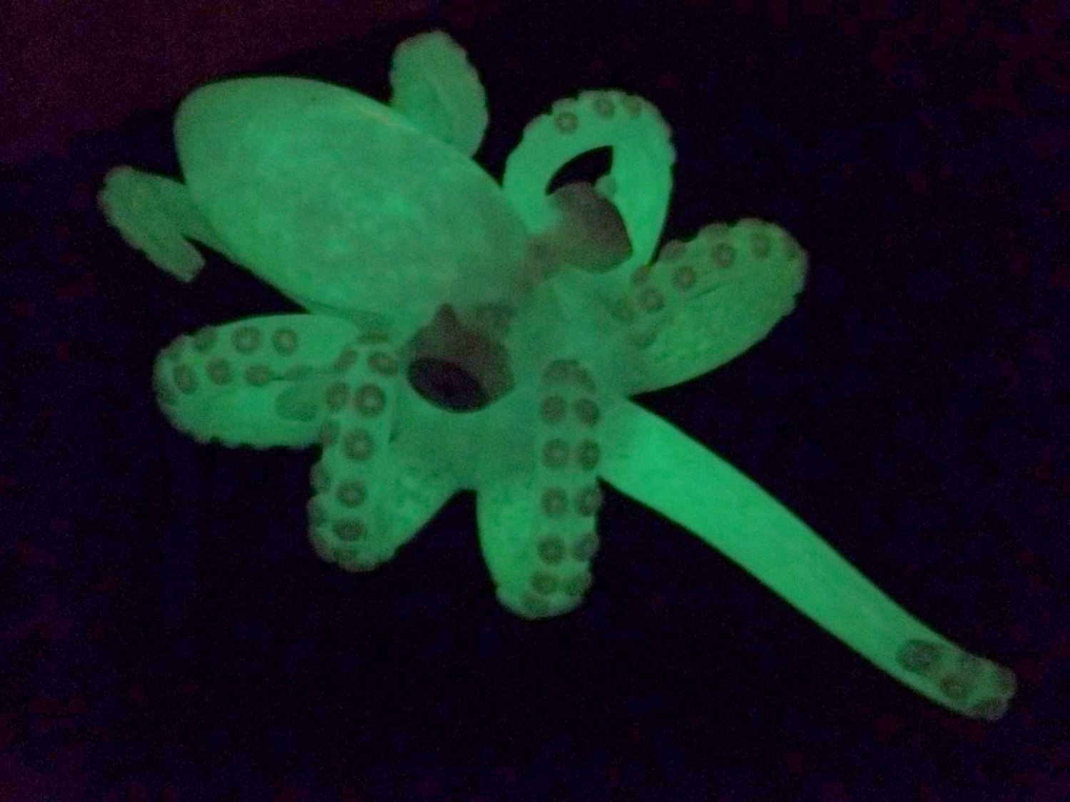 Piece of the Week | Glow in the Dark Paraphernalia - Octopus Pipe